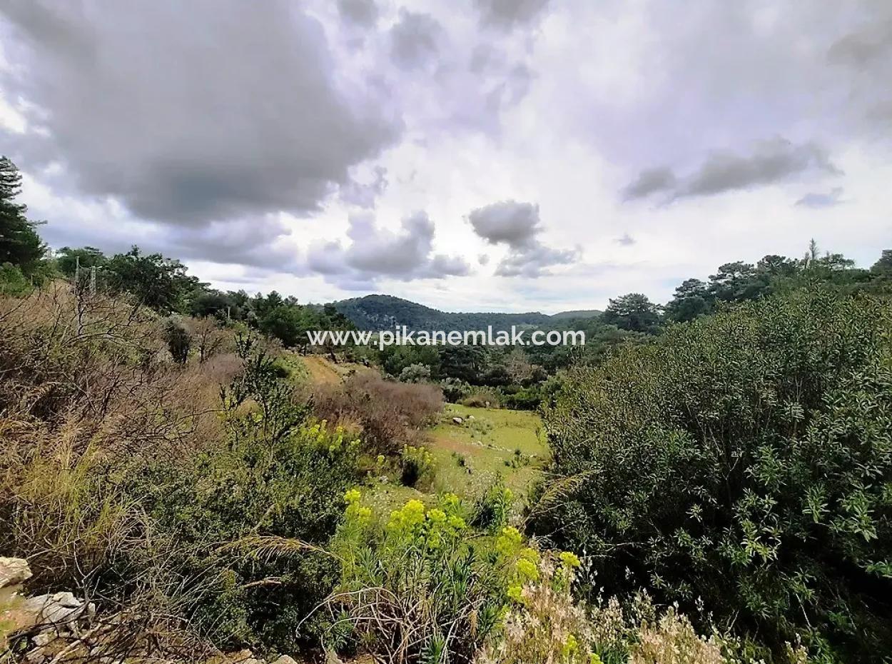 Dalyan Gökbel 13.100 M2 Acker Zum Verkauf In Der Natur