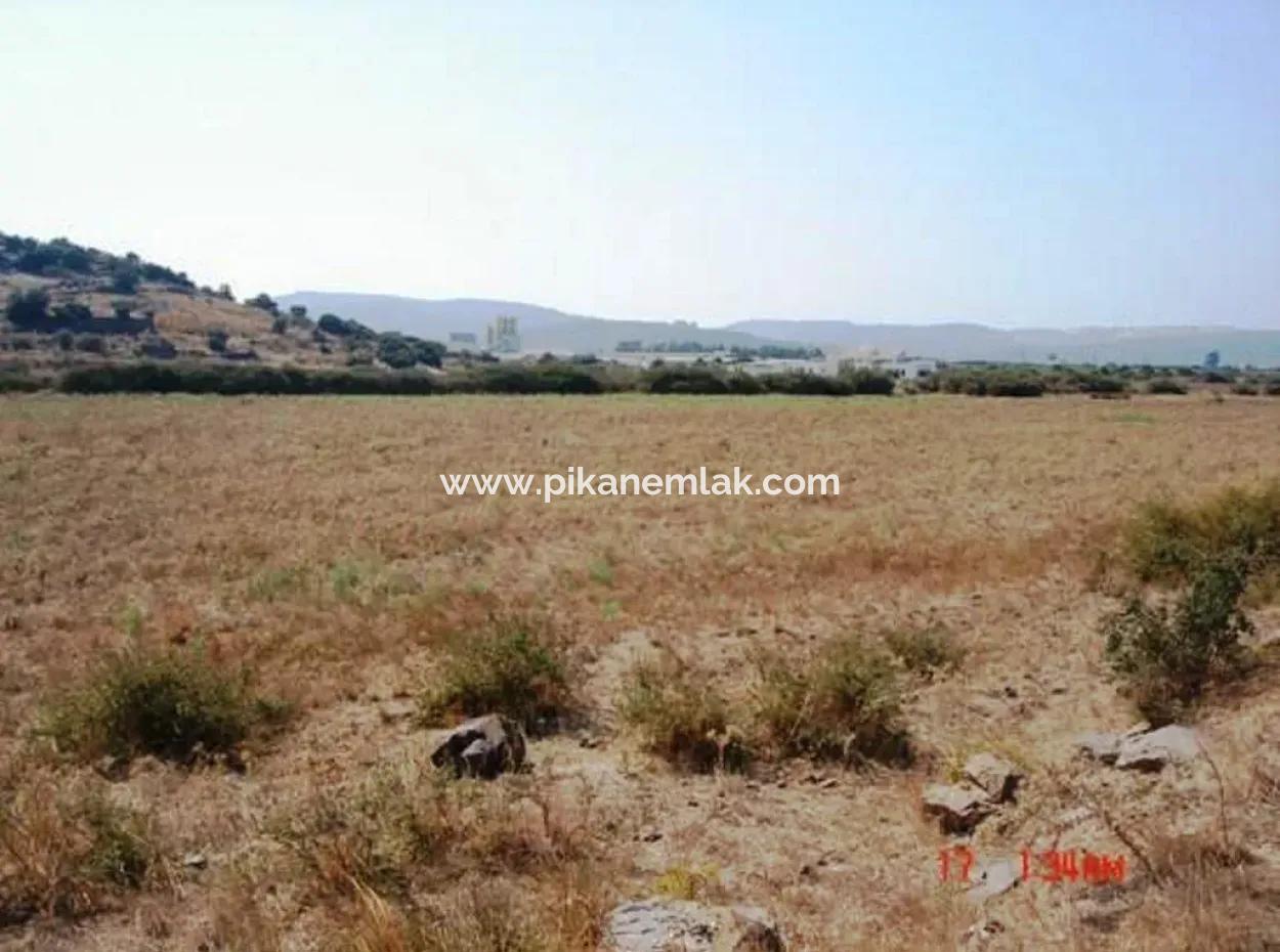 Mugla Milas Farm 10 000 M2 Land Zum Sofortigen Verkauf