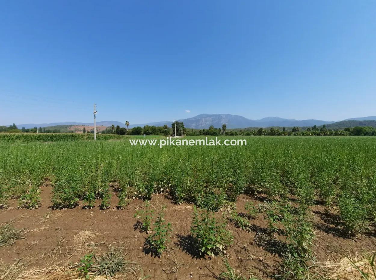 Mugla Ortaca Karaburun 500 M2 % 30/60 Zonierung Freistehendes Grundstück Zum Verkauf