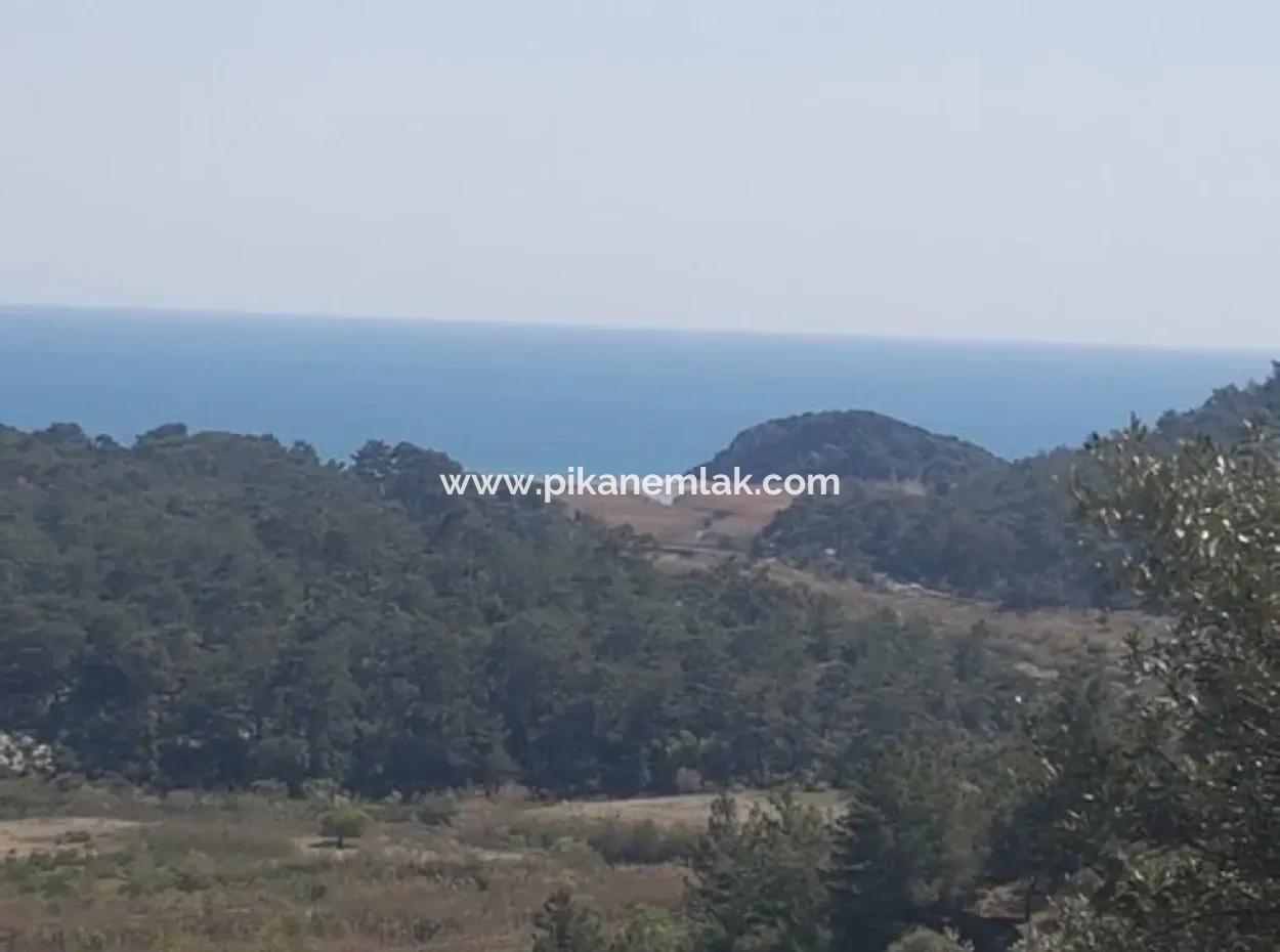 Grundstück Mit Meer Blick Zu Verkaufen Schnäppchen Ortaca Sarıgerme