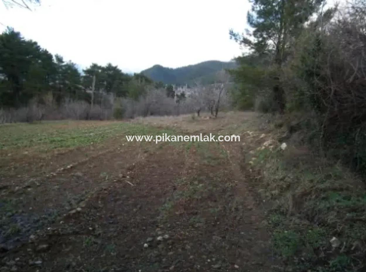 1985 M2 Grundstück Und Altes Dorfhaus Zum Verkauf In Fethiye Nif