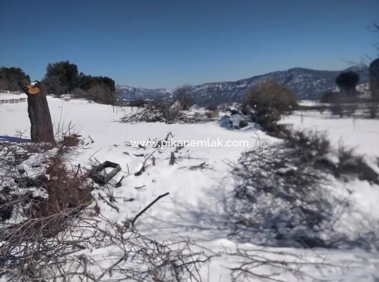 407 M2 Freistehendes Eigentumsurkunde Grundstück In Denizli Çameli Neue Lagerstätte