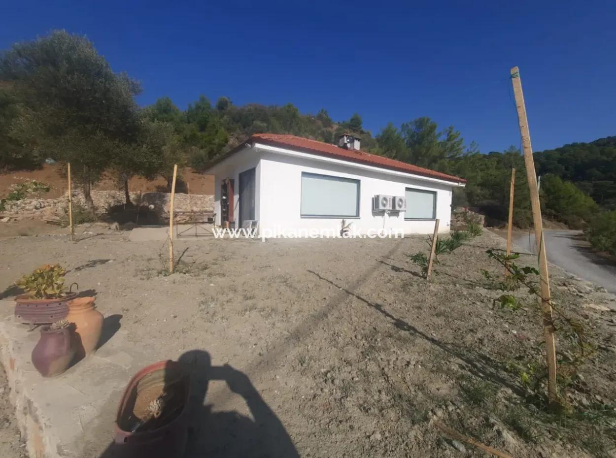 2 Einheiten Von 1 1 Wohnung Zum Verkauf Auf 1700 M2 Freistehendem Grundstück In Muğla Gökbel