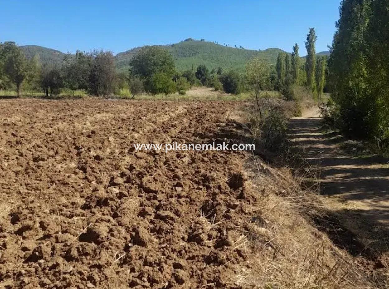 Denizli Beyağaç Sazak 317 M2 Freistehendes Grundstück Mit Eigentumsurkunde Zonierung Zum Verkauf