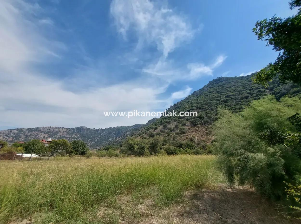 Fruchtbares 1.680 M2 Land Am Berghang Zum Verkauf In Dalyan, Muğla