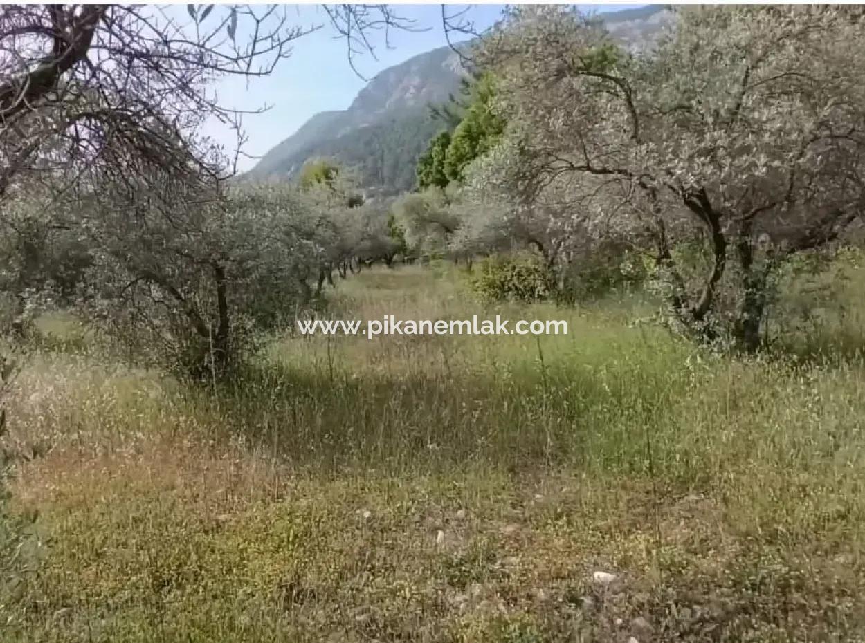 1228 M2 Grundstück Und Kargir Haus Zu Verkaufen In Muğla Menteşe Yaraş, Dorf In Dorf.   