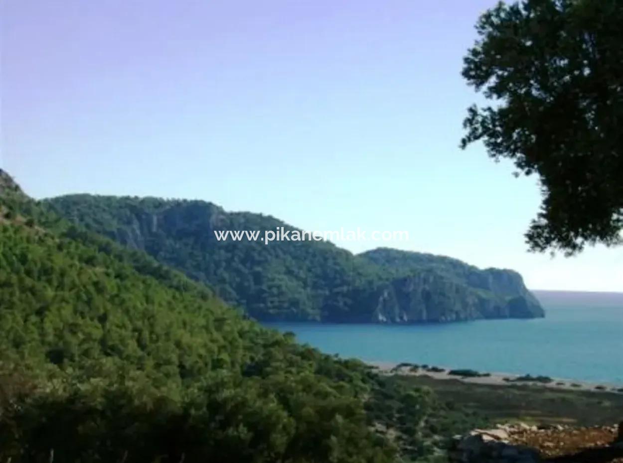 Mugla Dalaman Incebel Land Mit See- Und Seeblick Zum Verkauf