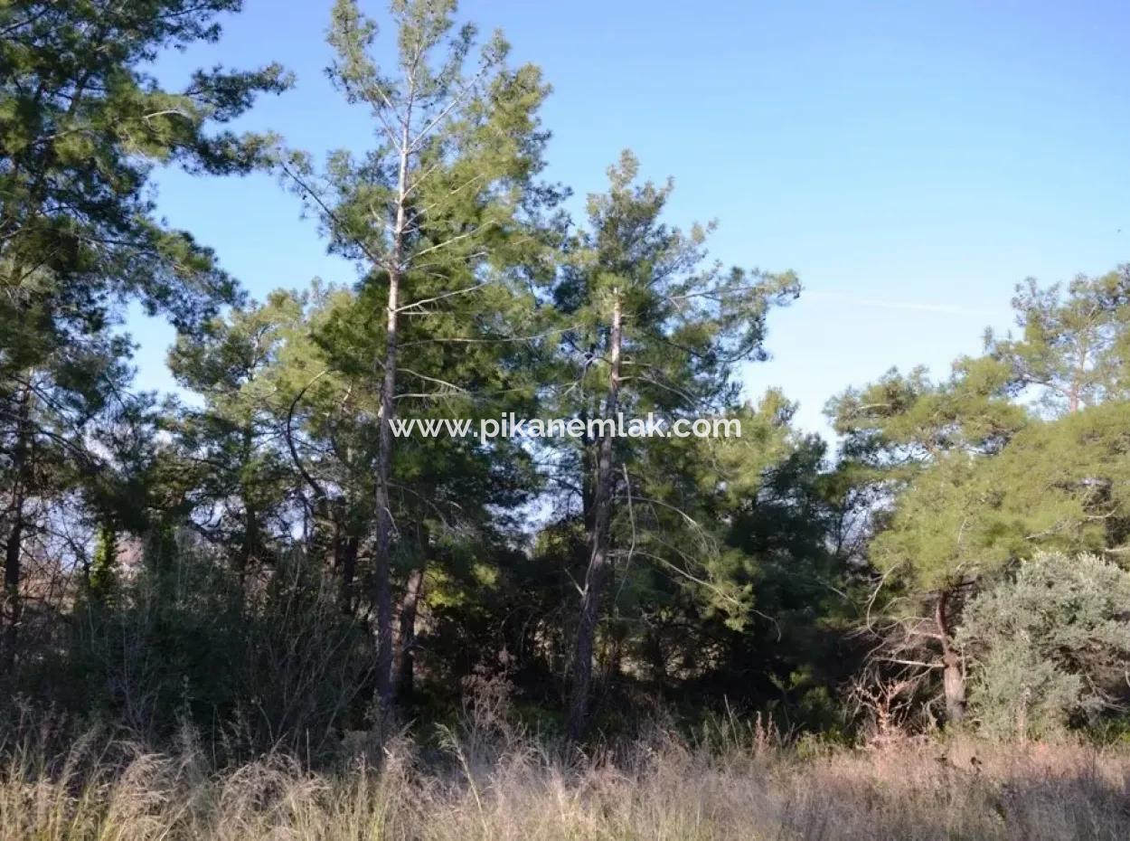 Wertvolle Waterfront Land Zum Verkauf In Tlos Fethiye Kragen