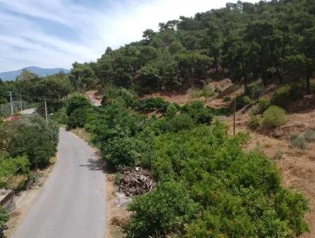 Land Mit Seeblick Zum Verkauf Zwischen Ortaca Tepearasi