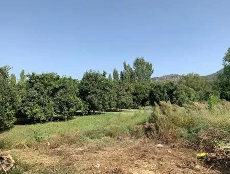 Dalaman Karacali 622 M2 30% Zoning Land Zu Verkaufen