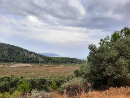 Plots Mit Meerblick Zum Verkauf In Sarigerme, Muğla