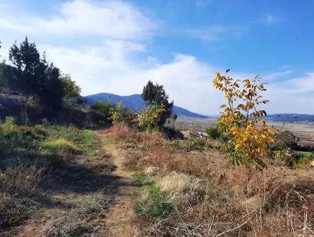 Denizli Çameli Kizilyaka Schmetterling Land Und Dorfhaus Mit Hundeblick Zum Verkauf