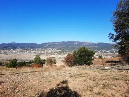 Denizli Çameli Kizilyaka Schmetterling Land Und Dorfhaus Mit Hundeblick Zum Verkauf