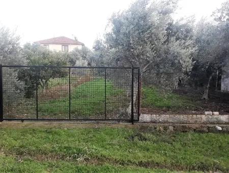 Zoning Grundstücke Mit Seeblick Zum Verkauf In Köycegiz Toparlar