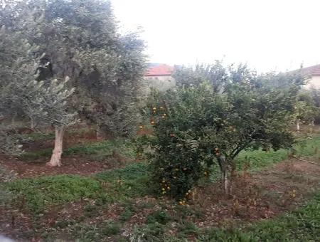 Zoning Grundstücke Mit Seeblick Zum Verkauf In Köycegiz Toparlar