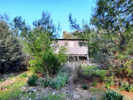 Mugla Dalyan Gokbel 1700 M2 Freistehendes Land Und Bungalow Mit Blick Auf Die Natur