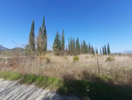 Mugla Ortaca Güzelyurt Sarégerme Straße Mit Blick Auf 2256 M2 Feld Zu Verkaufen