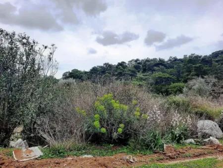 Dalyan Gökbel 13.100 M2 Acker Zum Verkauf In Der Natur