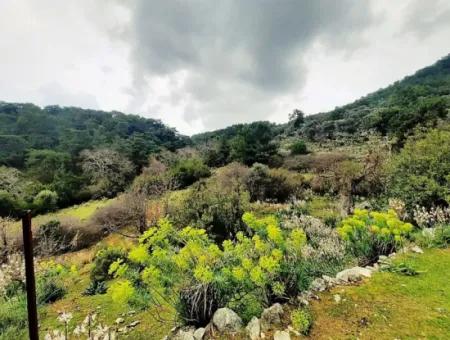 Dalyan Gökbel 13.100 M2 Acker Zum Verkauf In Der Natur