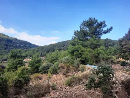 Mugla Dalyan Gökbel 320 M2 Schnäppchengrundstück Zum Verkauf