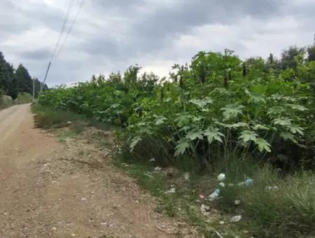 Muğla Ortaca Fevziye 3 Km Vom Meer Entfernt 6 200M2 Feld Zum Verkauf