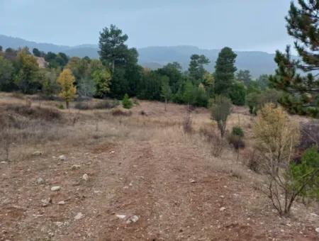 1 900 M2 Freistehendes Schnäppchengrundstück Zum Verkauf In Burdur Gölhisar Yeşildere