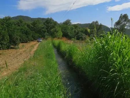 Bauernhof Zum Verkauf In Köyceğiz Beyoba Schnäppchen