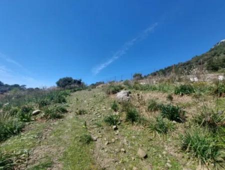 Ortaca Gökbelde Freistehendes 12 132M2 Schnäppchengrundstück In Der Natur Zum Verkauf