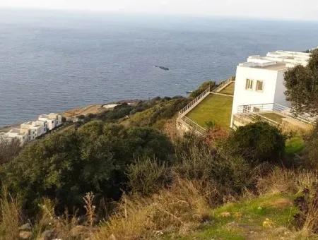 Grundstück Mit Meerblick Zum Verkauf In Bodrum Bitez