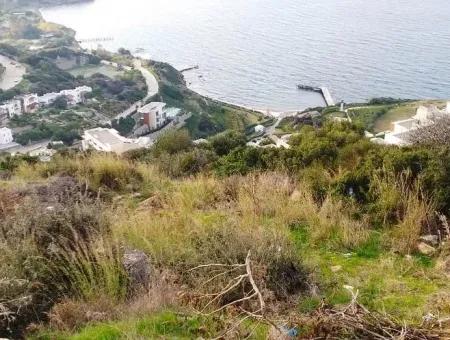 Grundstück Mit Meerblick Zum Verkauf In Bodrum Bitez