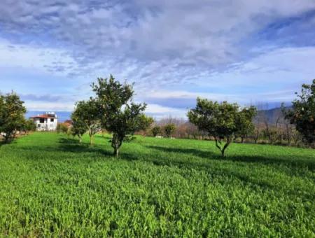 1500 M2 Freistehendes Grundstück In Der Natur Zum Verkauf In Ortaca Okçular