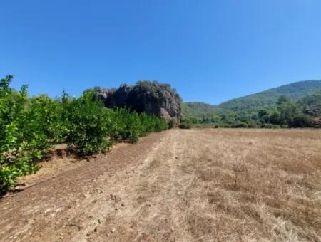 4.427 M2 Fruchtbares Land Mit Blick Auf Die Berge Und Die Natur In Ortaca Okçular Zu Verkaufen