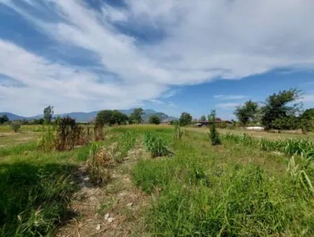 Fruchtbares 1.680 M2 Land Am Berghang Zum Verkauf In Dalyan, Muğla