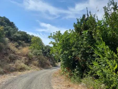 Fruchtbares 1.680 M2 Land Am Berghang Zum Verkauf In Dalyan, Muğla