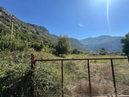 3073 M2 Feld Zu Vermieten In Dalyan Marmarlı