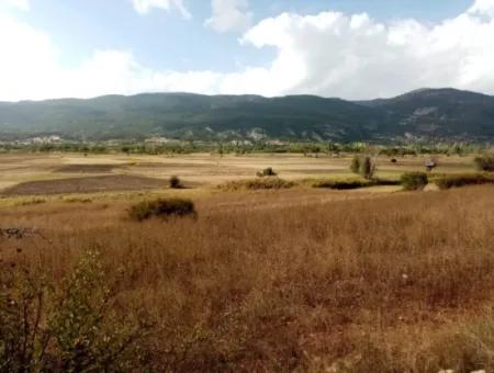 2603 M2 Feld Zum Verkauf In Denizli Çameli Belevi Nachbarschaft