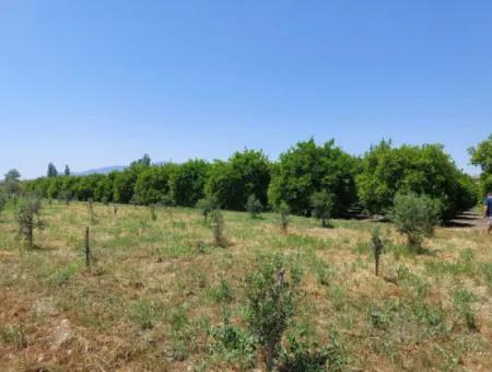 550M2 Geteiltes Grundstück Zum Verkauf Im Bebauten Gebiet Des Dorfes In Ortaca Kemaliye