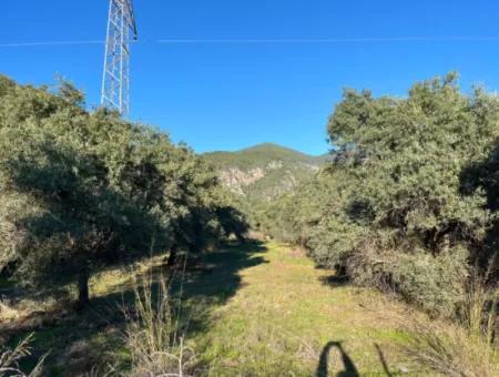 Zu Verkaufen 3.300 M2 Land Zur Deponierung In Muğla, Köyceğiz, Ekincik