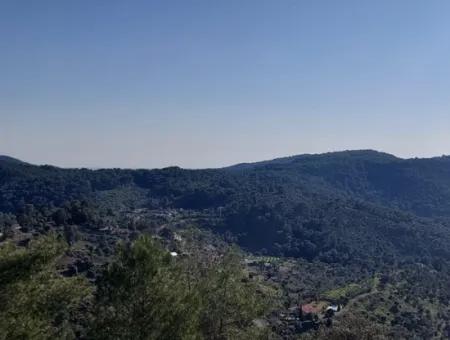 28.350 M2 Grundstück Zum Verkauf In Ortaca Gökbelde Mit Freistehender Eigentumsurkunde Mit Meerblick