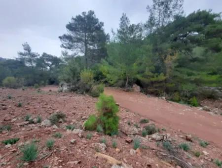 24.000 M2 Freistehendes Grundstück Zum Verkauf In Muğla Dalyan Gökbelde Natur