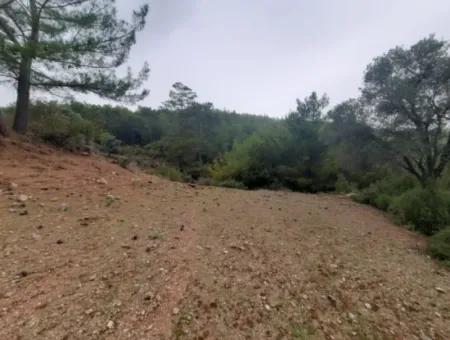 24.000 M2 Freistehendes Grundstück Zum Verkauf In Muğla Dalyan Gökbelde Natur