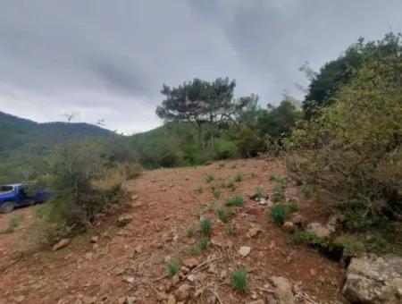 24.000 M2 Freistehendes Grundstück Zum Verkauf In Muğla Dalyan Gökbelde Natur