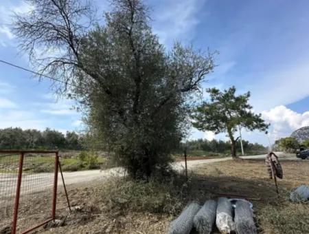 1084 M2 Eckgrundstück Zum Verkauf In Dalyan Gökbelde