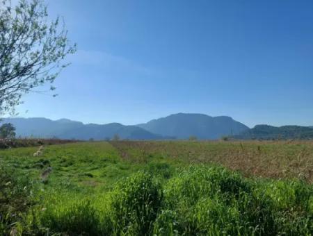 Fruchtbares 6.350 M2 Land Zum Verkauf In Muğla Ortaca Güzelyurt