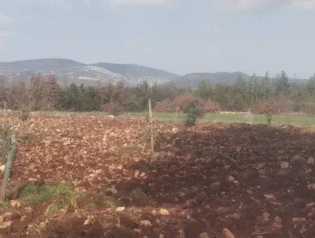 3.030 M2 Freistehendes Grundstück Mit Eigentumsurkunde Zum Verkauf In Denizli Beyağaç Cumhuriyet