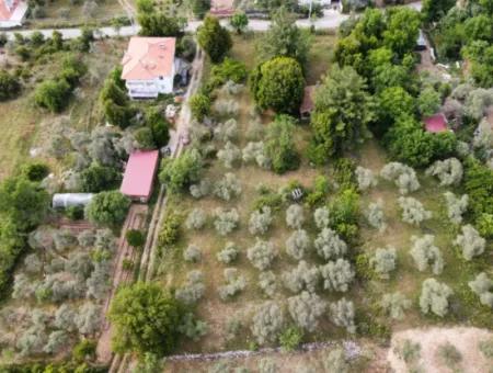 1272M2 Land Im Dorf Muğla Menteşe Yaraş Steht Zum Verkauf.   