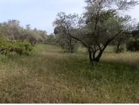 1228 M2 Grundstück Und Kargir Haus Zu Verkaufen In Muğla Menteşe Yaraş, Dorf In Dorf.   