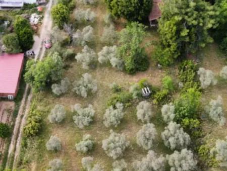 1228 M2 Grundstück Und Kargir Haus Zu Verkaufen In Muğla Menteşe Yaraş, Dorf In Dorf.   