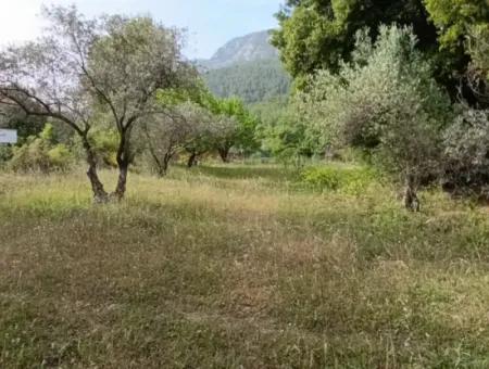 1228 M2 Grundstück Und Kargir Haus Zu Verkaufen In Muğla Menteşe Yaraş, Dorf In Dorf.   