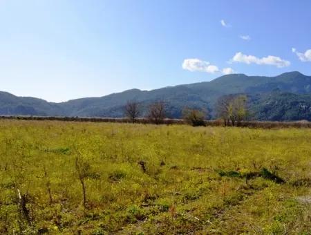 Bauernhof Zum Verkauf Schnäppchen In Dalyan